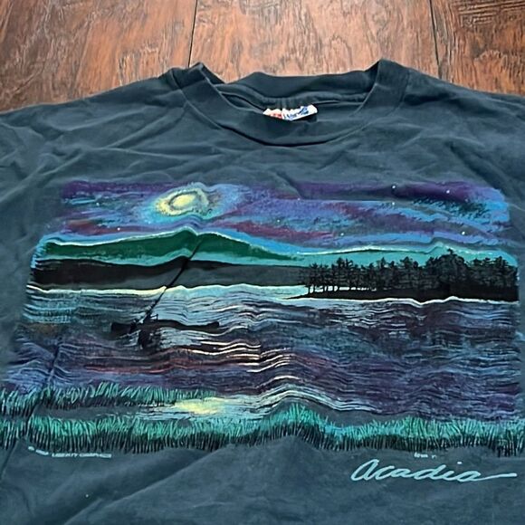 ACADIA NATIONAL PARK VTG t shirt Bar Harbor MAINE Hanes beefy -T Tee Large 1992 - Picture 2 of 11